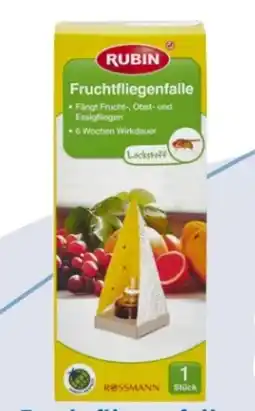 Rossmann Rubin Fruchtfliegenfalle Angebot