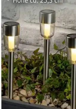 Rossmann Rossmann Ideenwelt Solar-Gartenleuchten Angebot