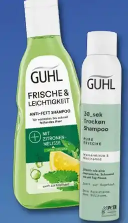 Rossmann Guhl Shampoo Angebot