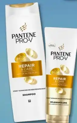 Rossmann Pantene Pro-V Shampoo Angebot