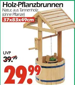 Wreesmann Holz-pflanzbrunnen Angebot