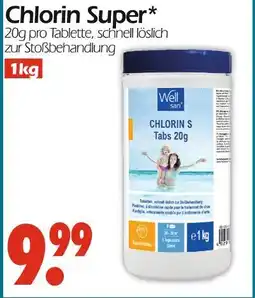 Wreesmann Chlorin super Angebot