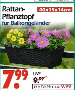 Wreesmann Rattan-pflanztopf 40x15x14cm Angebot