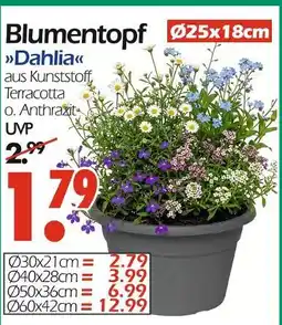 Wreesmann Blumentopf dahlia Angebot
