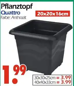 Wreesmann Pflanztopf quattro Angebot