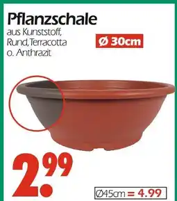 Wreesmann Pflanzschale ø 30 cm Angebot