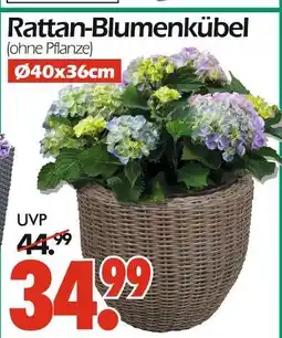 Wreesmann Rattan-blumenkübel Angebot
