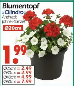Wreesmann Blumentopf cilindro Angebot