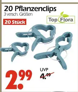 Wreesmann Top flora 20 pflanzenclips Angebot