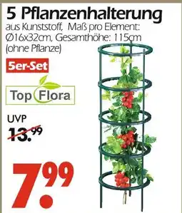 Wreesmann Top flora 5 pflanzenhalterung Angebot