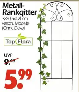 Wreesmann Metall-rankgitter Angebot
