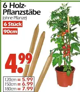 Wreesmann 6 holz-pflanzstäbe 90 cm Angebot