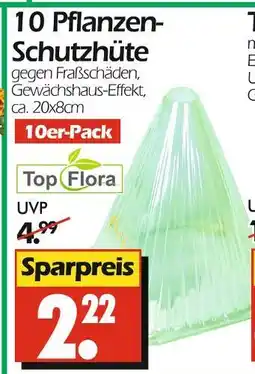 Wreesmann 10 pflanzen- schutzhüte Angebot