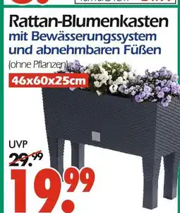 Wreesmann Rattan-blumenkasten Angebot