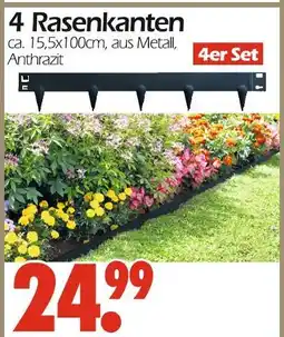 Wreesmann 4 rasenkanten Angebot