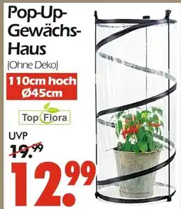 Wreesmann Top flora pop-up-gewächs-haus Angebot