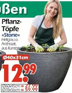 Wreesmann Pflanz töpfe stone Angebot