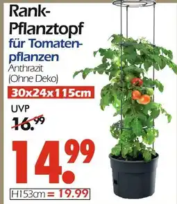 Wreesmann Rank- pflanztopf 30x24x115cm Angebot