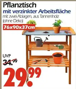 Wreesmann Pflanztisch Angebot