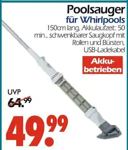 Wreesmann Poolsauger Angebot