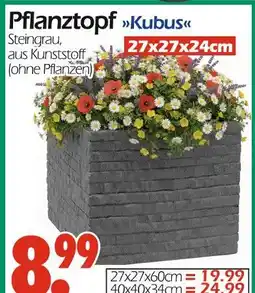 Wreesmann Pflanztopf kubus Angebot