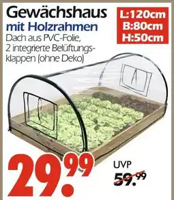 Wreesmann Gewächshaus Angebot