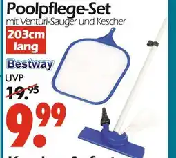Wreesmann Bestway poolpflege-set Angebot