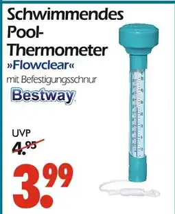 Wreesmann Bestway schwimmendes pool-thermometer flowclear Angebot