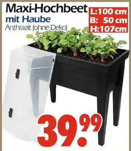 Wreesmann Maxi-hochbeet Angebot