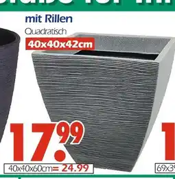 Wreesmann Pflanztopf 40x40x42 cm Angebot
