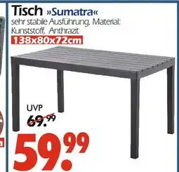 Wreesmann Tisch sumatra Angebot