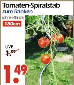 Wreesmann Tomaten-spiralstab Angebot