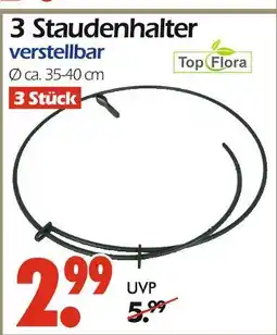 Wreesmann Top flora 3 staudenhalter Angebot