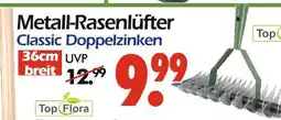Wreesmann Top flora metall-rasenlüfter Angebot