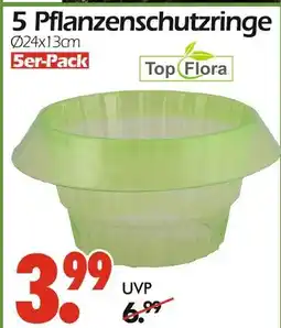 Wreesmann Top flora pflanzenschutzringe Angebot