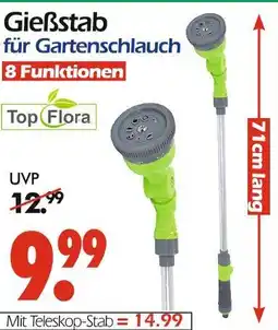 Wreesmann Gießstab Angebot