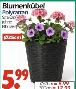 Wreesmann Blumenkübel Angebot