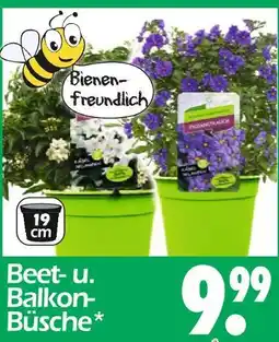 Wreesmann Beet- u. balkon-büsche Angebot