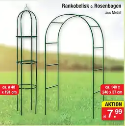 Zimmermann Rankobelisk Angebot