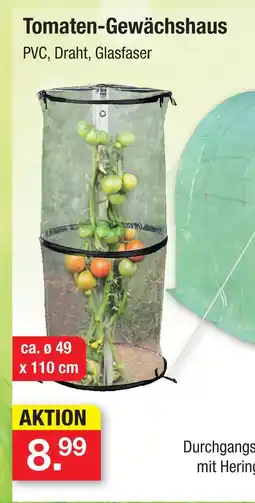 Zimmermann Tomaten-gewächshaus Angebot