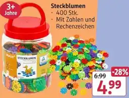 Rossmann Steckblumen Angebot