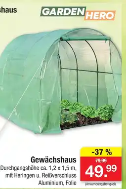 Zimmermann Garden hero gewächshaus Angebot