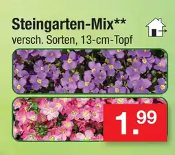 Zimmermann Steingarten-mix Angebot