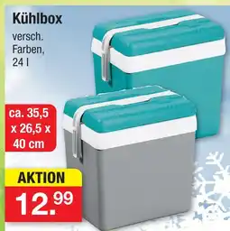 Zimmermann Kühlbox Angebot