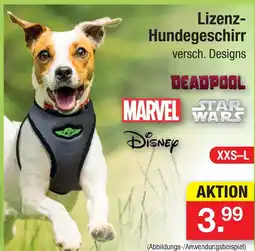 Zimmermann Lizenz-hundegeschirr Angebot