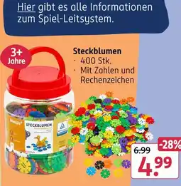 Rossmann Miniju steckblumen Angebot