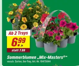 toom Baumarkt Sommerblumen 'mix-masters' Angebot