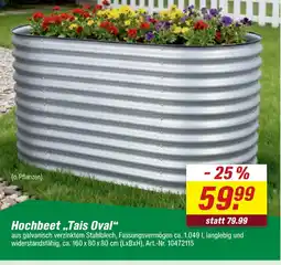 toom Baumarkt Hochbeet tais oval Angebot