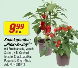 toom Baumarkt Snackgemüse 'pick-&-joy' Angebot