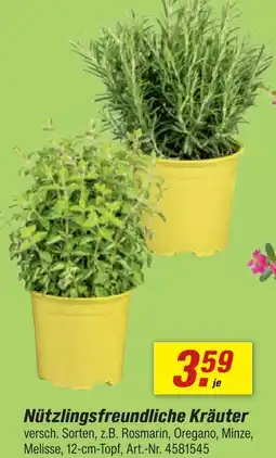 toom Baumarkt Nützlingsfreundliche kräuter Angebot